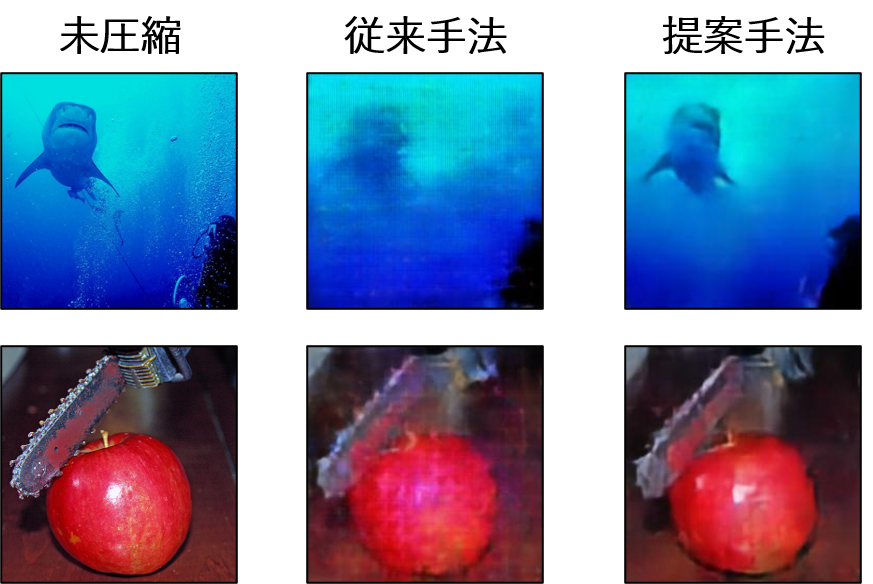 Image Recognition Accuracy